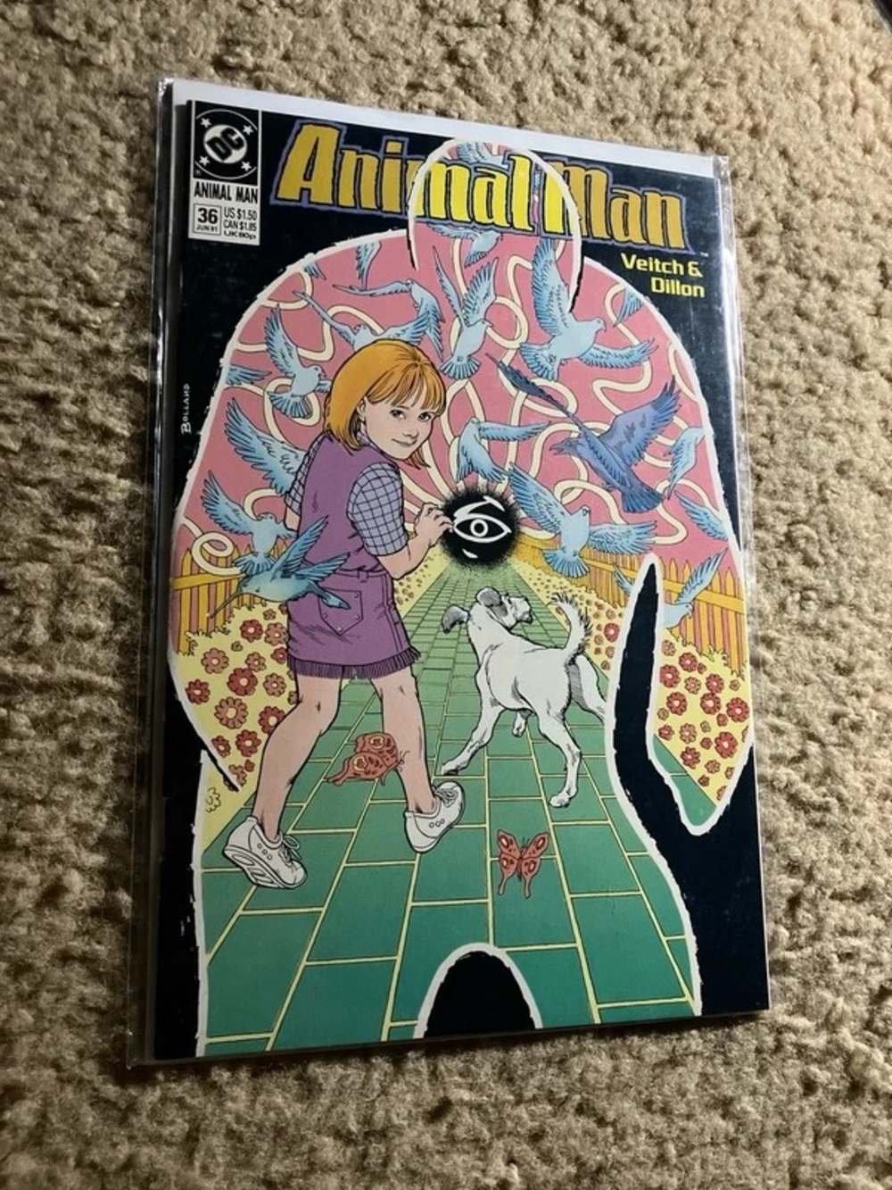 DC Comics Animal Man Coffee Table Book — Pink, Green, Black, Yellow